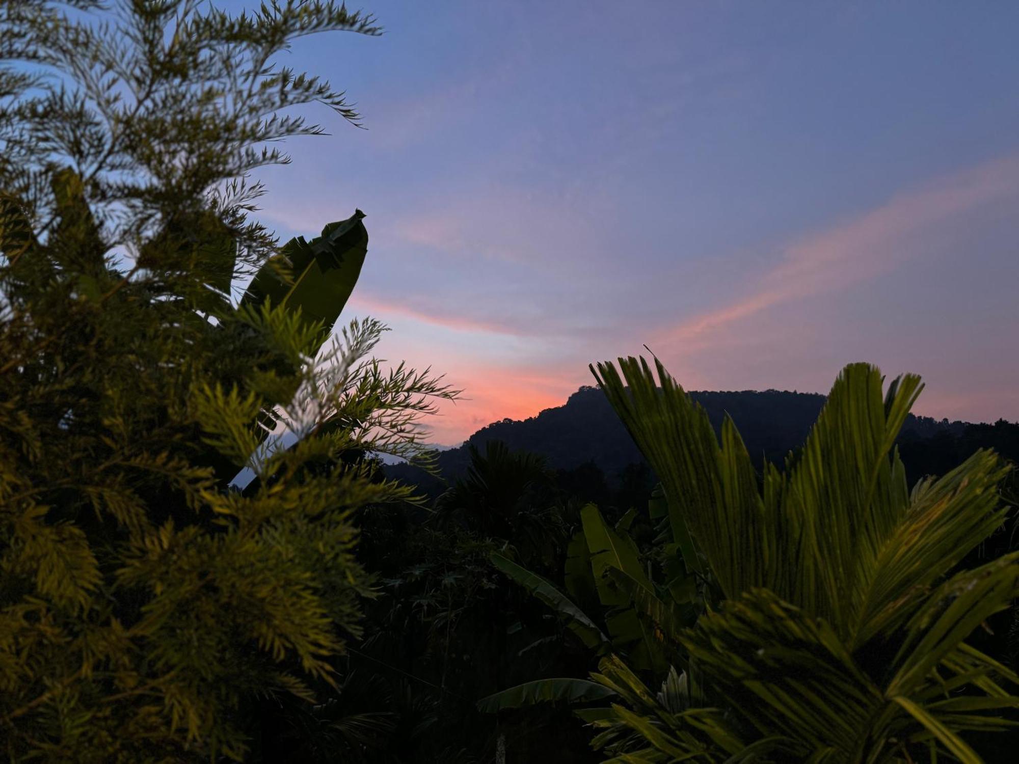 Bendheka - Cliff Front Cottages Coorg Gonikoppal Bagian luar foto